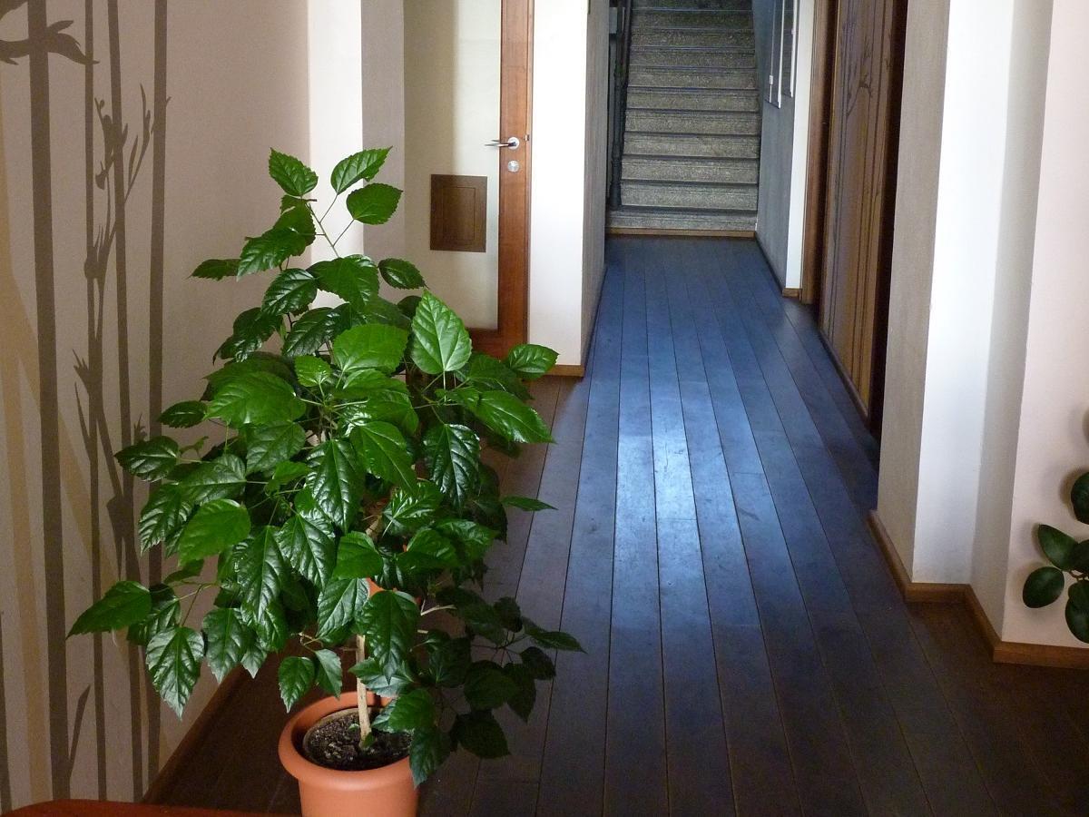 Hotel Art Písek Dış mekan fotoğraf