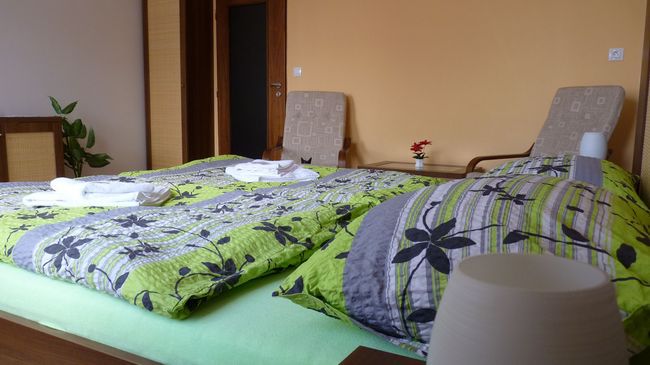 Hotel Art Písek Oda fotoğraf